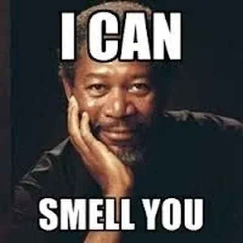 Morgan Freeman - Biography, Age, Net Worth, Career & Family Cost of Becoming