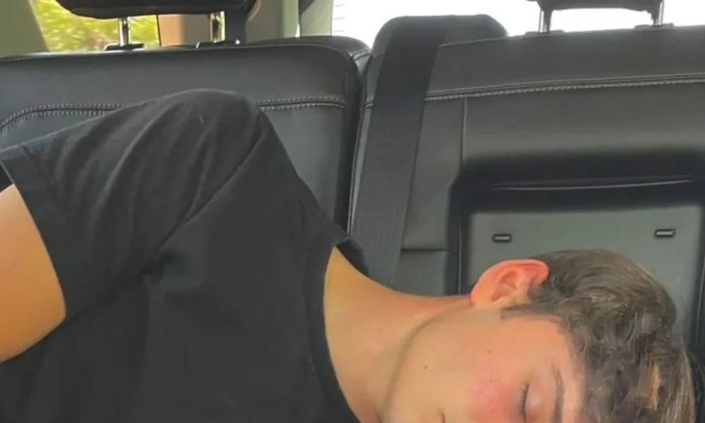 Noah Schnapp - Image 1