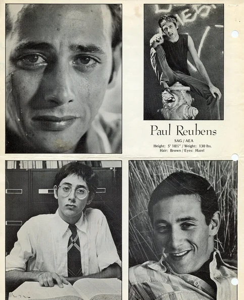 Paul Reubens - Biography, Age, Net Worth, Career & Family Cost of Becoming