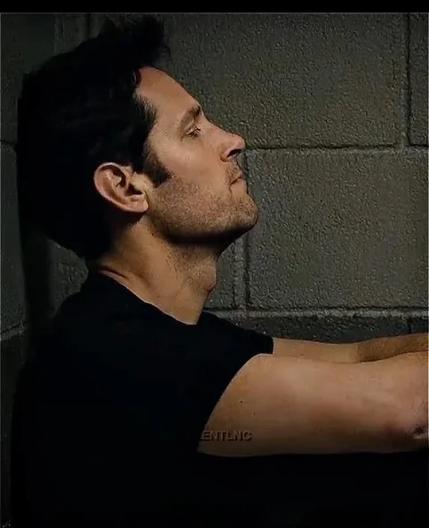 Paul Rudd - Biography, Age, Net Worth, Career & Family Cost of Becoming