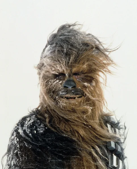 Peter Mayhew - Biography, Age, Net Worth, Career & Family Cost of Becoming