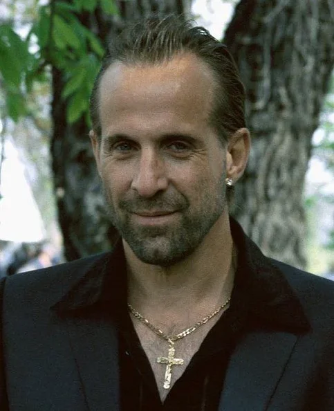 Peter Stormare - Biography, Age, Net Worth, Career & Family Emotional Geography