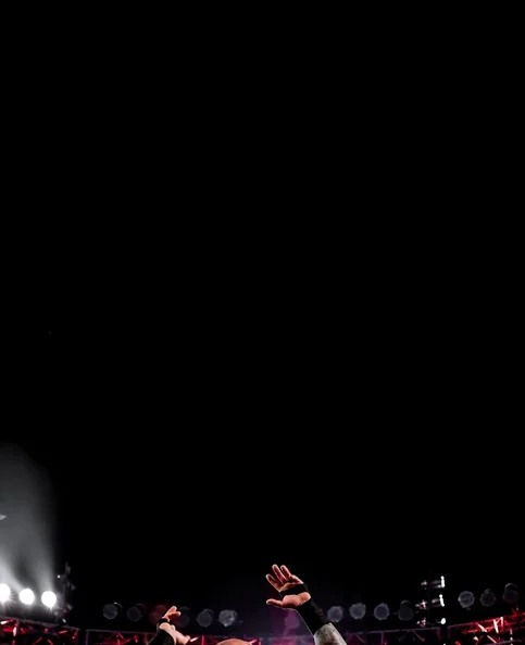 Randy Orton - Biography, Age, Net Worth, Career & Family Favourites