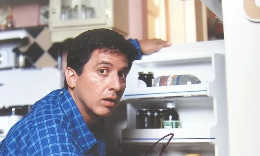 Ray Romano - Image 1