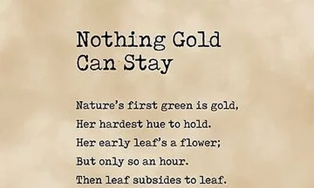 Robert Forster - Image 1