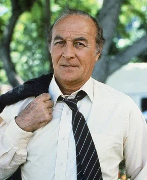 Robert Loggia - Biography, Age, Net Worth, Career & Family Cost of Becoming