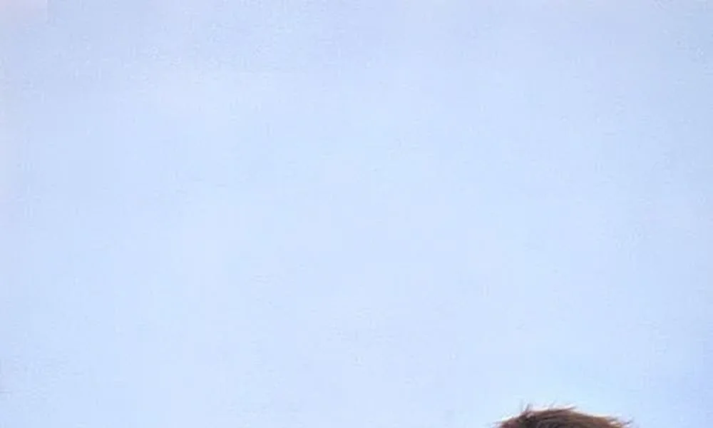 Roy Scheider - Image 1