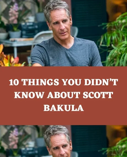 Scott Bakula - Biography, Age, Net Worth, Career & Family Timeline