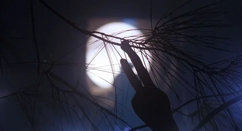 Steven Spielberg - Biography, Age, Net Worth, Career & Family Timeline