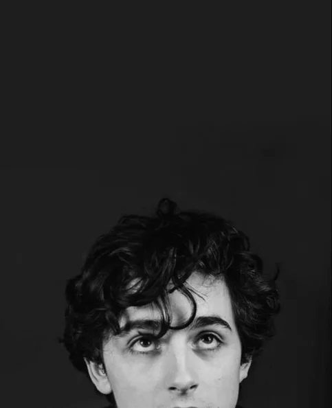 Timothée Chalamet - Biography, Age, Net Worth, Career & Family Favourites