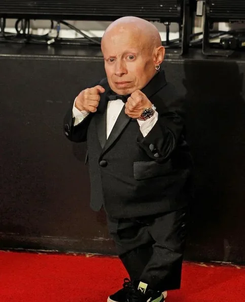 Verne Troyer - Biography, Age, Net Worth, Career & Family Timeline